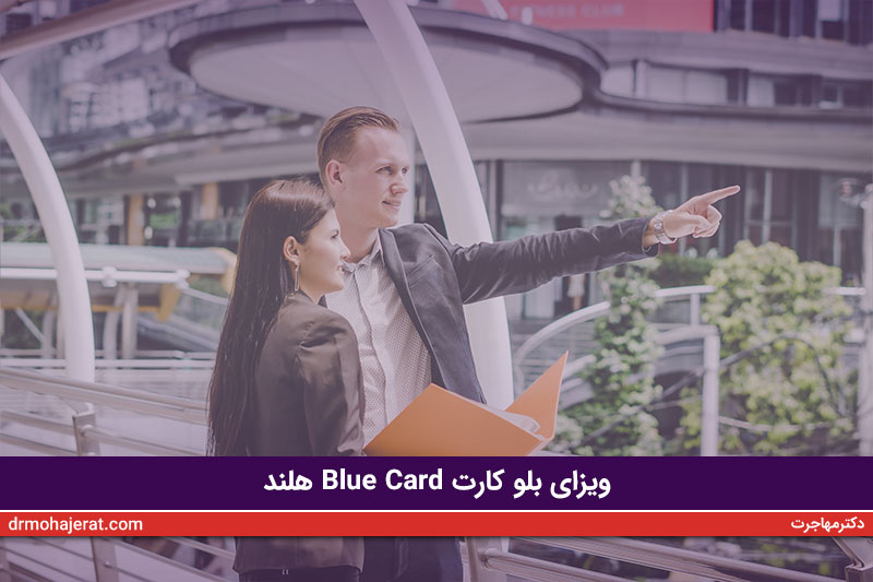 ویزای-بلو-کارت-Blue-Card-هلند